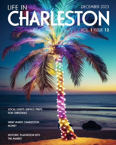 Cover poster for concept magazine, Life in Charleston, with a palm tree decorated with lights on a beach