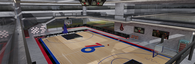 Open Court Concept Basketball Gym